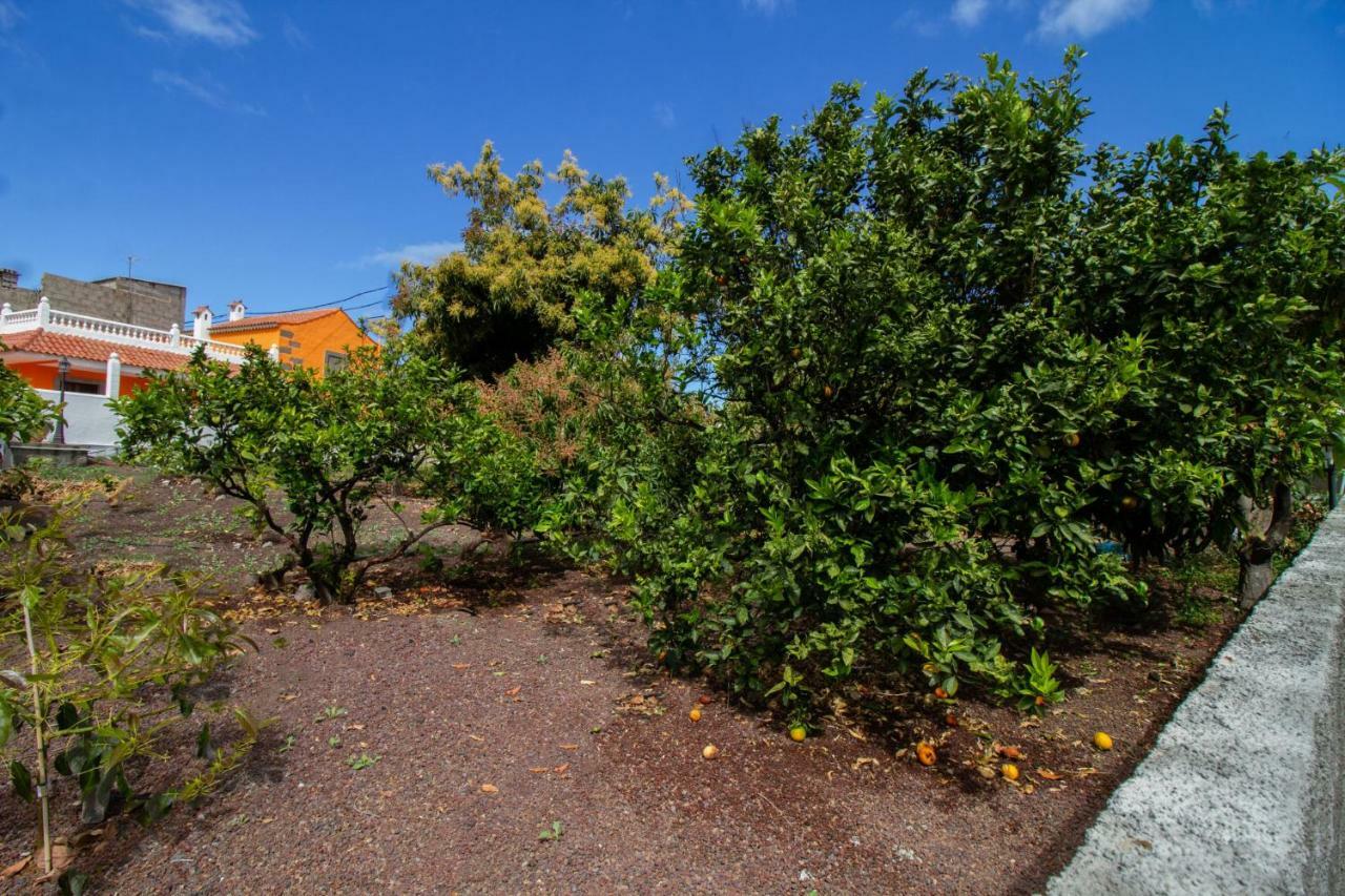 Casa Marjoes - 2 Villas - Bbq - Communal Pool Moya (Gran Canaria) Exterior foto